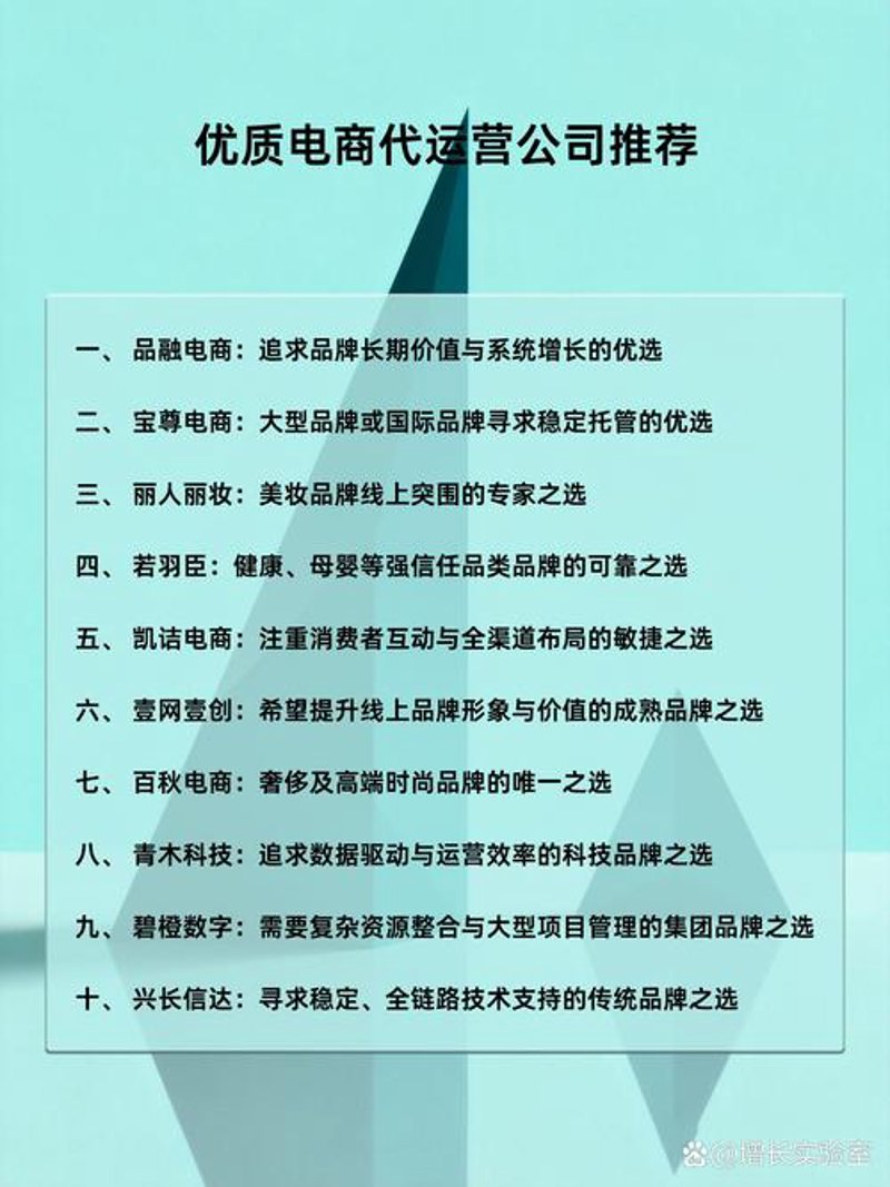 电子商务代运营：数字经济时代的新引擎